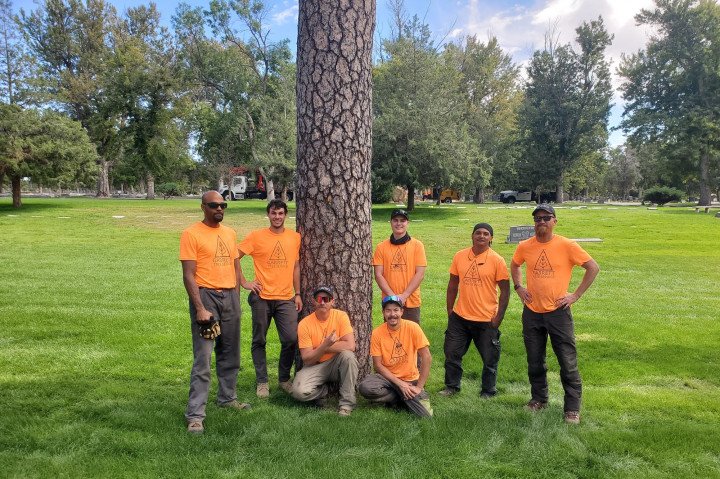 Stump Grinding in Colorado Springs by Garrett Tree Service