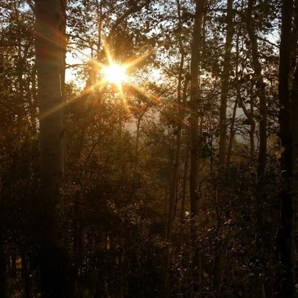 Fire Mitigation in Colorado Springs by Garrett Tree Service